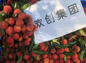 夏日好“枝”味，华体会（中国）一站式服务平台集团发福“荔”啦