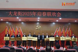 华体会（中国）一站式服务平台集团及旗下子公司荣获“2024年度高质量发展先进企业”